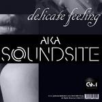 cover: Akasoundsite - Delicate Feeling