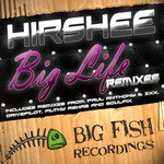 cover: Hirshee - Big Life (remixes)