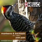 cover: Manteeno & Backlash - Pam Pam