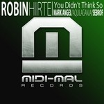 cover: Robin Hirte - You Didn't Think So