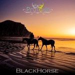 cover: Protoxic - BlackHorse