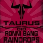 cover: Ronni Bang - Raindrops