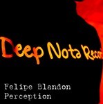 cover: Felipe Blandon - Perception