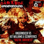 cover: Angernoizer & Kit Williams & Scrapeface - Digital Darkness