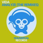 cover: Vida - Analyze (The remixes)