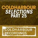 cover: Dns Project|Foyle, Mike|Statica|Tucandeo - Coldharbour Selections Part 25