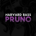 cover: Harvard Bass - Pruno EP