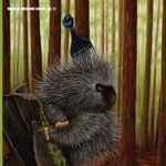 cover: Madlib - Madlib Medicine Show 11: Low Budget High Fi Music