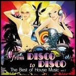 cover: Various - From Disco To Disco: The Best Of House Music (Vol 2)