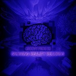 cover: Various - Growing Reality Records Groovy Prog 32