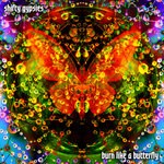 cover: Shifty Gypsies - Burn Like A Butterfly