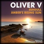 cover: Oliver V - Seagull