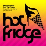 cover: Discoscience - Feel The Groove