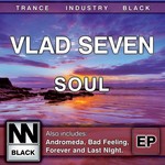 cover: Vlad Seven - Soul