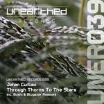 cover: Johan Curtain - Through Thorns To The Stars