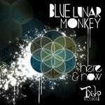 cover: Blue Lunar Monkey|Various - Here & Now