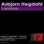 cover: Asbjorn Hegdahl - Laridae