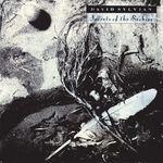 cover: David Sylvian - Secrets Of The Beehive