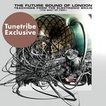 cover: Future Sound Of London - Teachings From The Electronic Brain (2006 Edit)