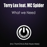 cover: MC Spider|LEX, Terry - What We Need