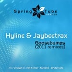 cover: Hyline & Jaybeetrax - Goosebumps (2011 remixes)