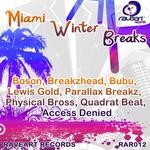 cover: Various - Miami Winter Breaks