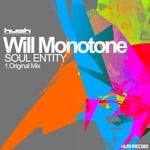 cover: Will Monotone - Soul Entity