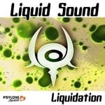 cover: Liquid Sound - Liquidation