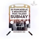 cover: Dj Funkadelic & Beauriche|Taleen - Subway