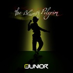 cover: F Junior - The Blarney Pilgrim