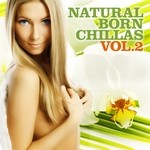 cover: Various - Natural Born Chillas: Vol 2 (The Ultimate Lounge & Chill Out Experience)