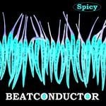 cover: Beatconductor - Rockin Down The House