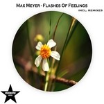 cover: Max Meyer - Flashes Of Feelings