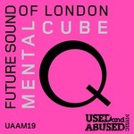 cover: Mental Cube - Q (2011 mixes)