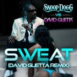 cover: David Guetta|SNOOP DOGG - Sweat (Remix)