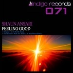 cover: Shaun Ansari - Feeling Good