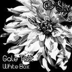 cover: Gale Talk - White Box