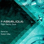 cover: Faberlique - Flight Electro Souls