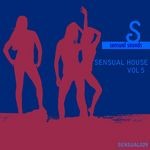 cover: Dj Haze - Sensual House #5