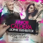 cover: Caldera, Junior|Sophie Ellis Bextor - Can't Fight This Feeling