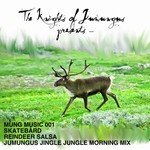 cover: The Knights Of Jumungus Presents Skatebard - Reindeer Salsa