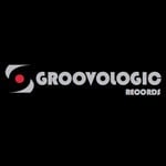 cover: Gur Hekim - Groovologic