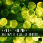 cover: Sefik Yilmaz - Rhythm Is Full Of Dreams