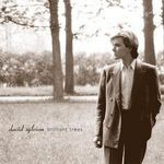 cover: David Sylvian - Brilliant Trees