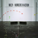 cover: Wiley - Numbers In Action