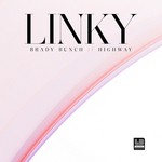 cover: Dj Linky - Brady Bunch