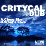 cover: Critycal Dub - Close Sky