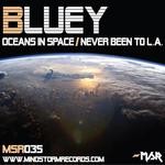 cover: Bluey - Oceans In Space