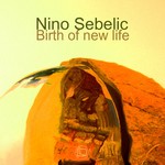 cover: Nino Sebelic - Birth Of New Life