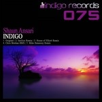 cover: Shaun Ansari - Indigo